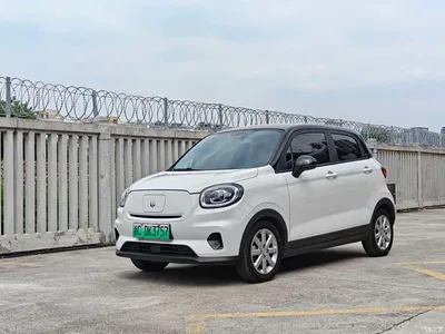 2022 Leapmotor T03 Pearl Edition, фото 1, лот 11081365