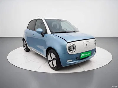 2021 Ora Black Cat 301km Basic Model, фото 3, лот 10895501