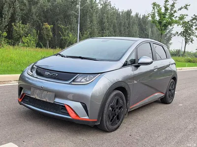 2021 BYD Dolphin Model 405km Fashion Edition, фото 1, лот 10251316