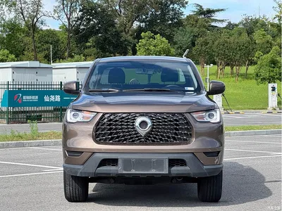 2021 Great Wall Pao 2.0T Commercial Edition Automatic Diesel 2WD Elite Long Box GW4D20M, фото 2, лот 10245863