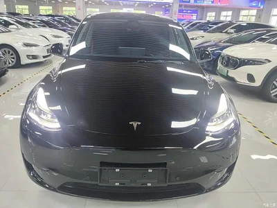2022 Tesla Model Y Facelift Rear-Wheel Drive Version, фото 3, лот 11132221