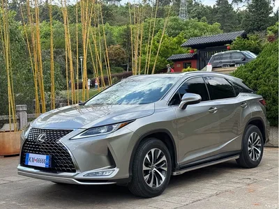 2020 Lexus RX 300 2WD Elite Edition China VI, фото 1, лот 10898806