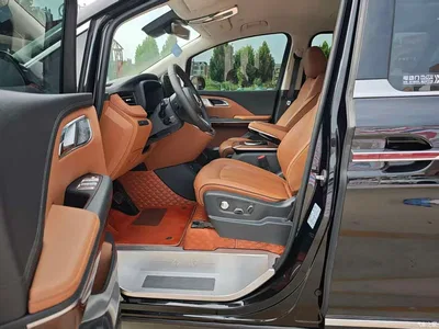 2023 Hongqi HQ9 2.0T Smart Connect Flag Smooth Edition, фото 4, лот 10288567