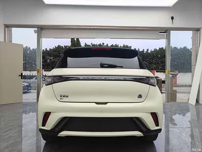 2024 BYD Dolphin Glory Edition 420km Freedom Edition, фото 4, лот 11537910