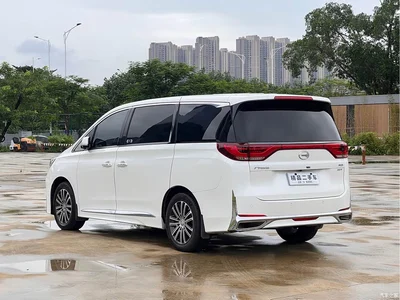 2021 GAC Trumpchi Trumpchi M8 Leading Show Series 390T Ultimate Edition, фото 4, лот 10415565
