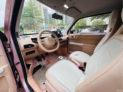 2023 Geely Galaxy Panda Mini 200km Endurance Bear, фото 4, лот 10431404