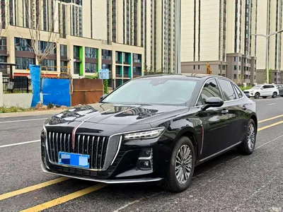 2025 Hongqi H5 1.5T DCT Flag Rhythm 500,000 Units Memorial Edition, фото 1, лот 10304081