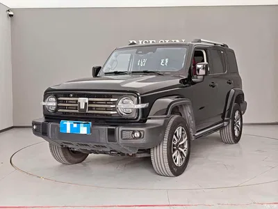 2024 Tank 300 2.0T Explorer, фото 1, лот 10356941