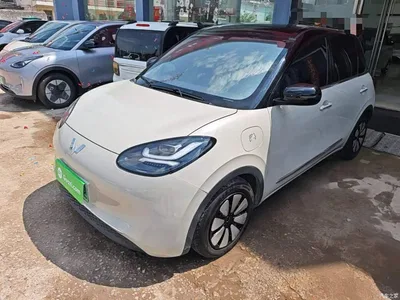 2025 Wuling Motors Wuling Bingo Model 333km Joy Edition, фото 2, лот 10371261