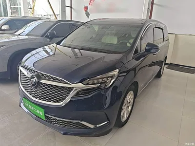 2020 Buick GL8 Avenir Four-Seat Prestige Edition, фото 1, лот 10259280