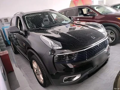 2019 Lynk & Co 01 2.0T 2WD Type Pro Version China V, фото 4, лот 10317729