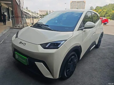 2024 BYD Seagull Glory Edition 305km Vitality Edition, фото 2, лот 10812714