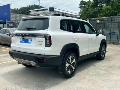 2021 Haval Big Dog 1.5T DCT 2WD Labrador Edition, фото 3, лот 10361945