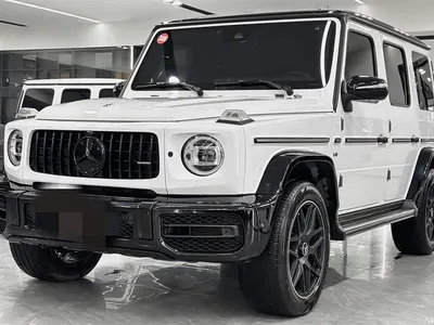 2019 Mercedes-Benz G-Class G 500, фото 1, лот 10255461