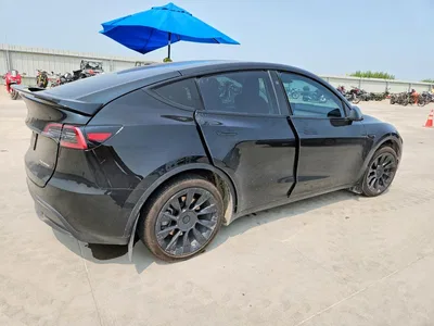 2023 TESLA MODEL Y, фото 3, лот 10665824