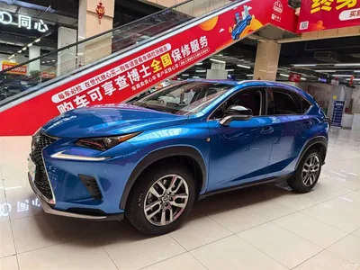 2018 Lexus NX Model 300 AWD Fengshang Edition, фото 1, лот 10315338