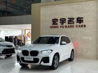 2021 BMW X3 xDrive25i M Sport Package, фото 1, лот 10461768