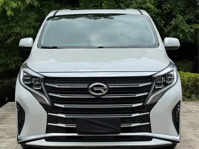 2023 GAC Trumpchi Trumpchi M8 Leading Series 390T Luxury Edition, фото 2, лот 10417244