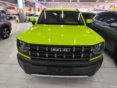 2022 Haval Cool Dog 1.5T DCT 4WD Adventure Edition, фото 3, лот 11302108