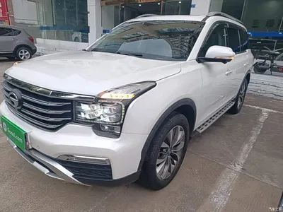 2017 GAC Trumpchi Trumpchi GS8 320T 2WD Luxury Smart Connect (7-seater), фото 1, лот 10423251