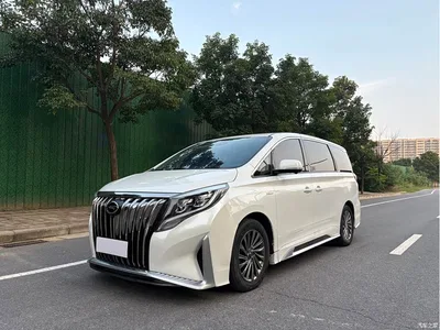 2021 GAC Trumpchi Trumpchi M8 Leading Show Series 390T Ultimate Edition, фото 1, лот 10417735