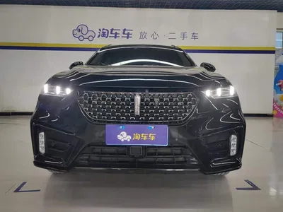 2020 WEY VV7 2.0T Super Luxury, фото 2, лот 10394818