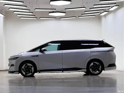 2024 XPeng X9 640 AWD High Performance Max, фото 4, лот 10612378