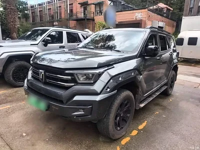 2024 Tank 400 New Energy Hi4-T Off-Road Edition, фото 2, лот 10345384