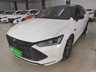 2023 BYD Qin PLUS Champion Edition DM-i 55KM Leading, фото 1, лот 10390333