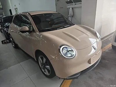 2021 Ora Good Cat 400km Standard Range Official Version (NMC), фото 4, лот 10330796