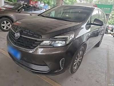 2021 Buick GL8 Land Business Class 652T Premium, фото 1, лот 10261955