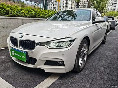 2017 BMW 3 Series 320Li M Sport, фото 2, лот 11226573