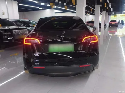 2021 Tesla Model Y Model Long Range AWD, фото 4, лот 10369704