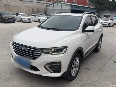 2018 Haval H2s Blue Label 1.5T DCT Elite, фото 2, лот 10838544