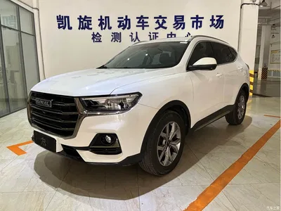 2021 Haval H6 Model National Trend Edition 1.5T Auto Champion, фото 1, лот 10282303