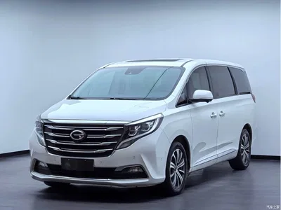2018 GAC Trumpchi Trumpchi M8 320T Flagship Edition, фото 1, лот 10393690