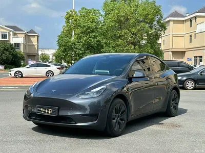 2024 Tesla Model Y Rear-Wheel Drive Version, фото 1, лот 11248583