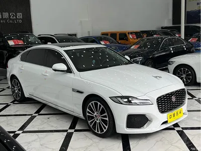 2023 Jaguar XFL Model XFL 2.0T P250 2WD Premium Luxury Edition, фото 3, лот 10360389