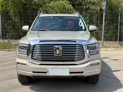 2022 Tank 500 3.0T Business Edition Zaojing 5-Seater, фото 2, лот 10344570