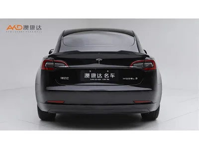 2021 Tesla Model 3 Standard Range Rear-Wheel Drive Upgrade, фото 4, лот 10352949