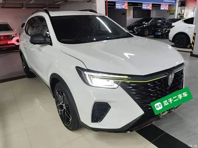 2021 Roewe RX5 PLUS 330TGI Automatic National Trend Premium Edition, фото 4, лот 10341094