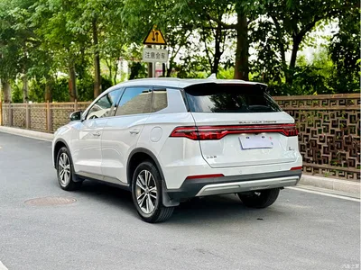 2019 BYD Song Pro 1.5T Automatic Luxury, фото 4, лот 10257739