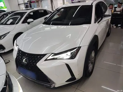 2020 Lexus UX 200 Special Edition, фото 3, лот 10319381