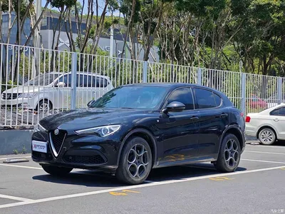 2021 Alfa Romeo Stelvio 2.0T 280HP Luxury Edition, фото 1, лот 10239864