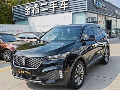 2020 WEY VV6 2.0T 2WD Smart Protection+, фото 1, лот 11202997