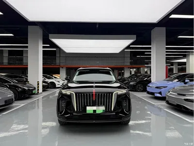 2021 Hongqi E-HS9 510km Flagship Comfort 6-seater, фото 2, лот 10288667