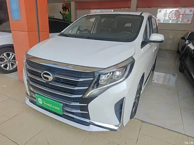 2021 GAC Trumpchi Trumpchi M8 Facelift Leading Series 390T Luxury Edition, фото 2, лот 11502194