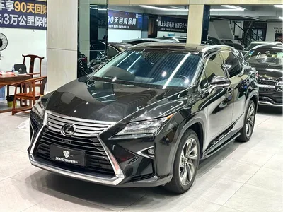 2016 Lexus RX 300 4WD Elegance Edition (China V), фото 1, лот 10318352