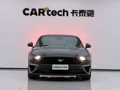 2019 Ford Mustang 5.0L V8 GT, фото 2, лот 10612139