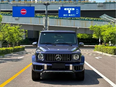 2025 Mercedes-Benz G-Class AMG AMG G 63, фото 1, лот 10299276